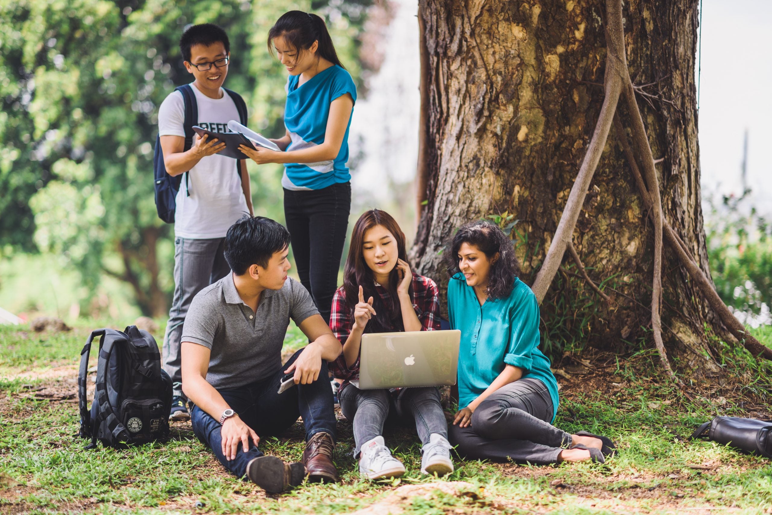 Singapore-Cambridge <br> GCE 'A' Level </br>