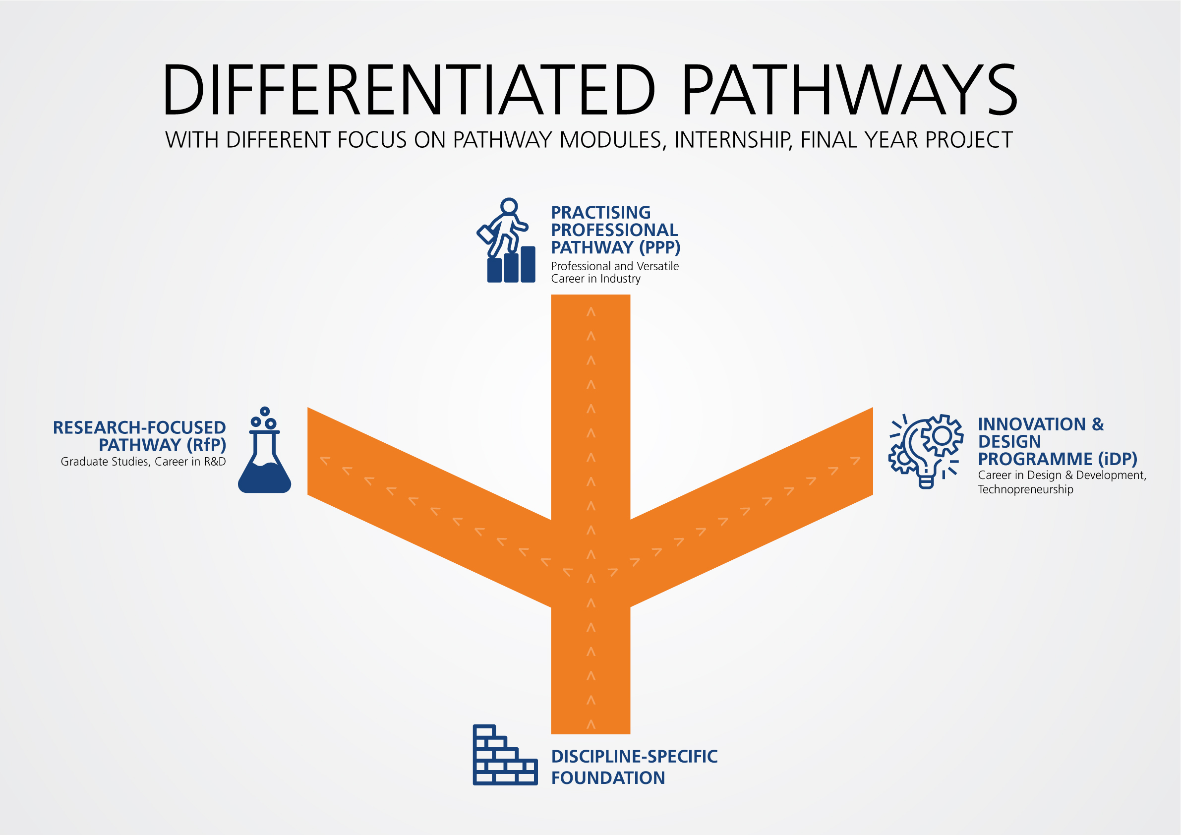 NUS-Engineering-Differentiated-Pathways