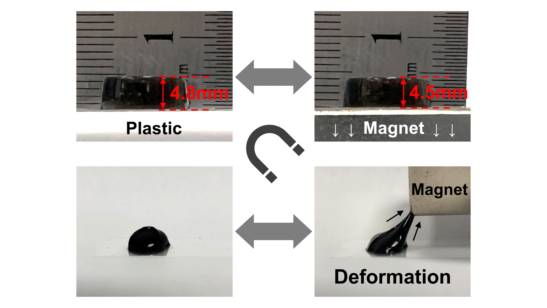 Illustration showing the effect of a magnet on a sample of the team's hydrogel.