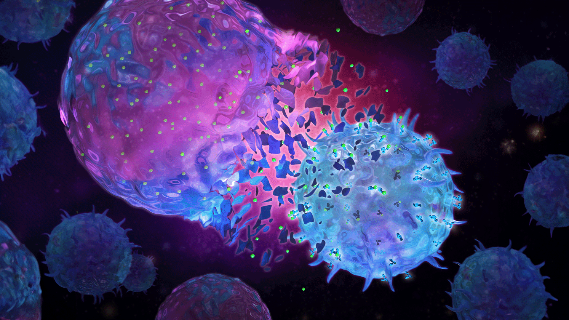 The PAINTKiller method works by employing a dye (shown with green spots) to highlight the most effective killer immune cells.