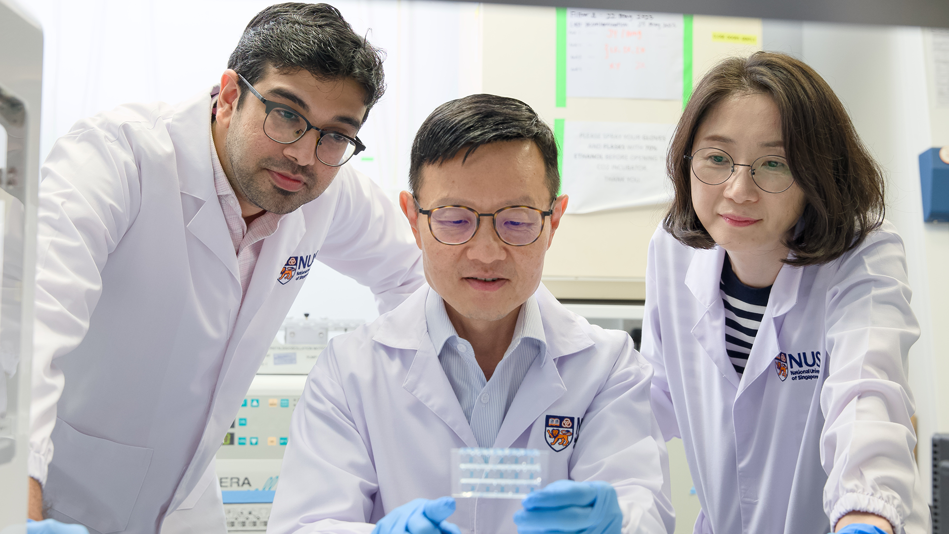The GMoC platform allows scientists to closely examine how gut microbes interact with each other and impact gut health.
