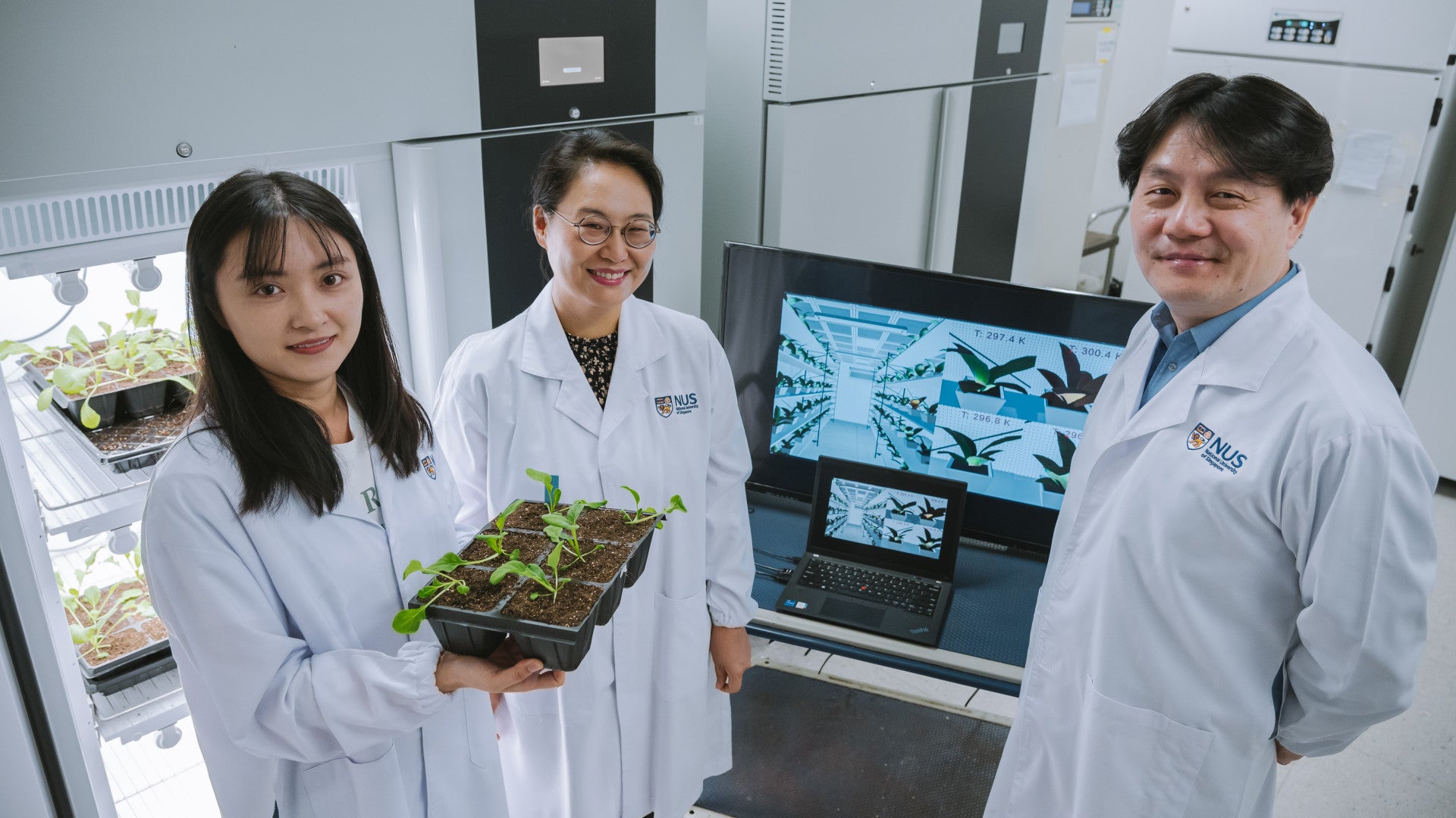 Plant E-Skin Plant E-Skin