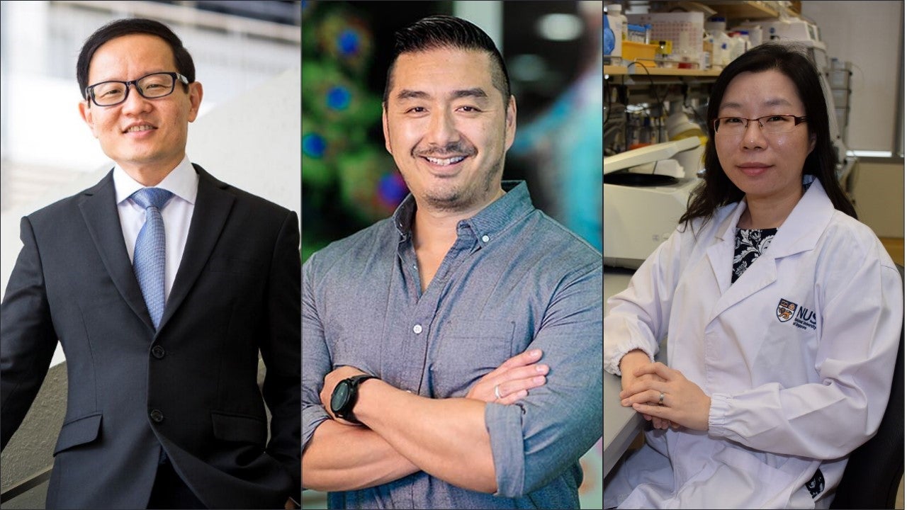 NUS CDE MSc BME (left to right) Professor Lim Chwee Teck, Professor Dean Ho, Associate Professor Shao Huilin
