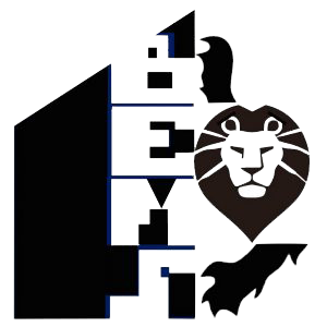 bems logo bems logo