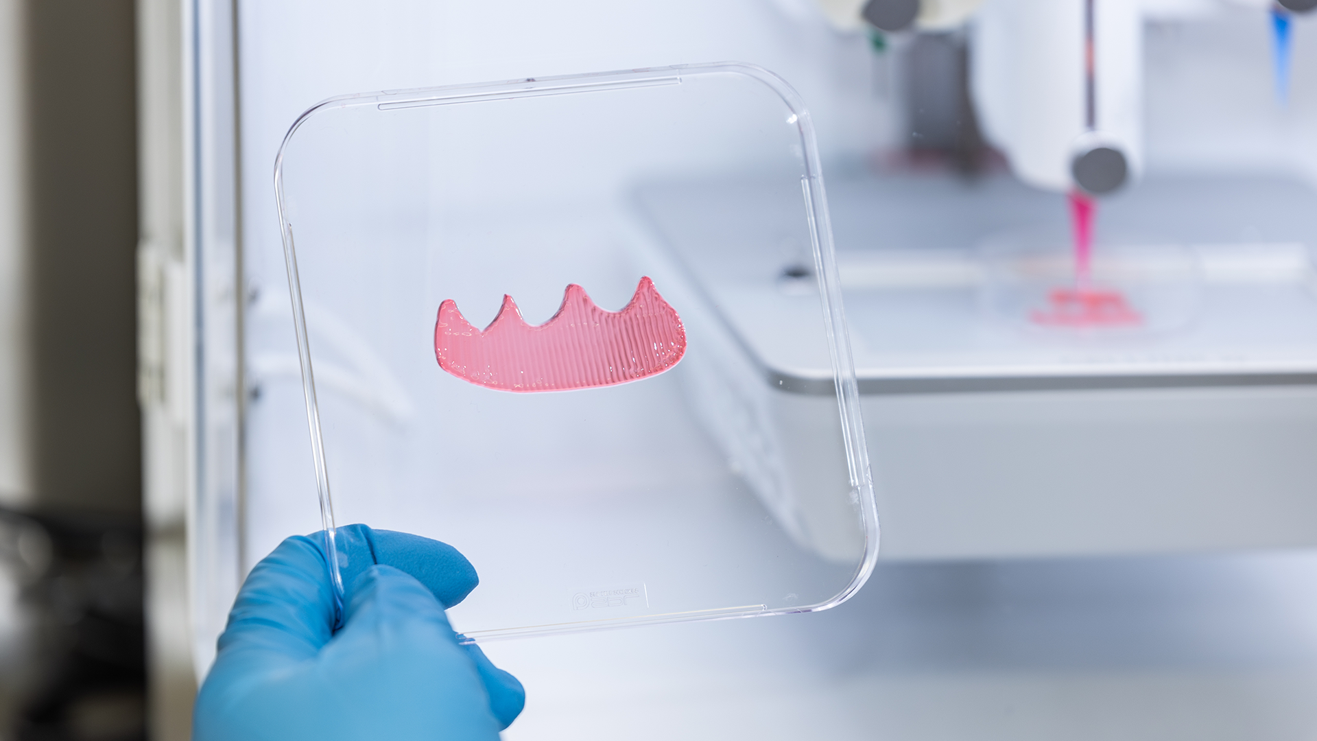 Photo 3 The 3D bioprinted gingival tissue graft (on the transparent slide) is created using a specialised bio-ink that supports healthy cell growth while preserving structural integrity for personalised dental treatments.