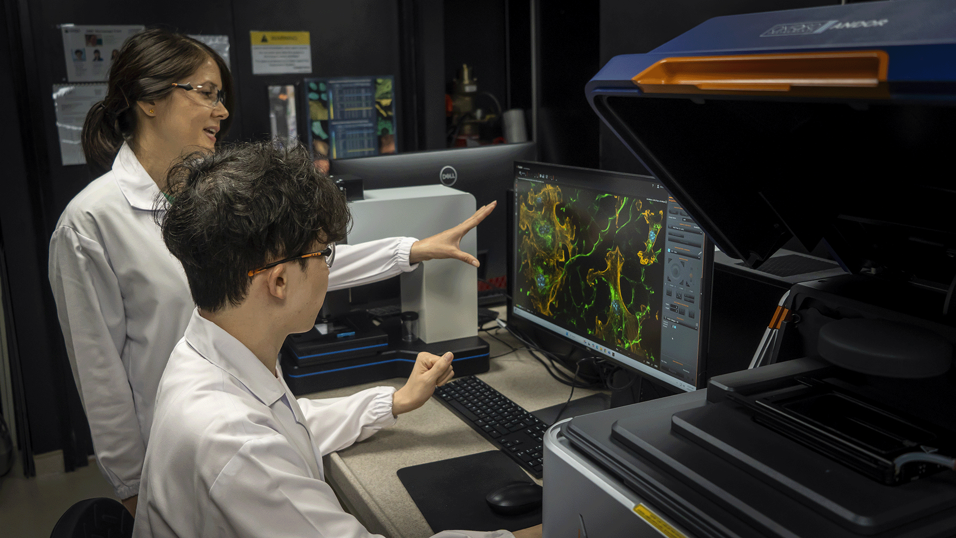 Asst Prof Jennifer Young (left) and PhD student Avery Rui Sun (right) image heart cells on DECIPHER scaffolds using a confocal microscope.