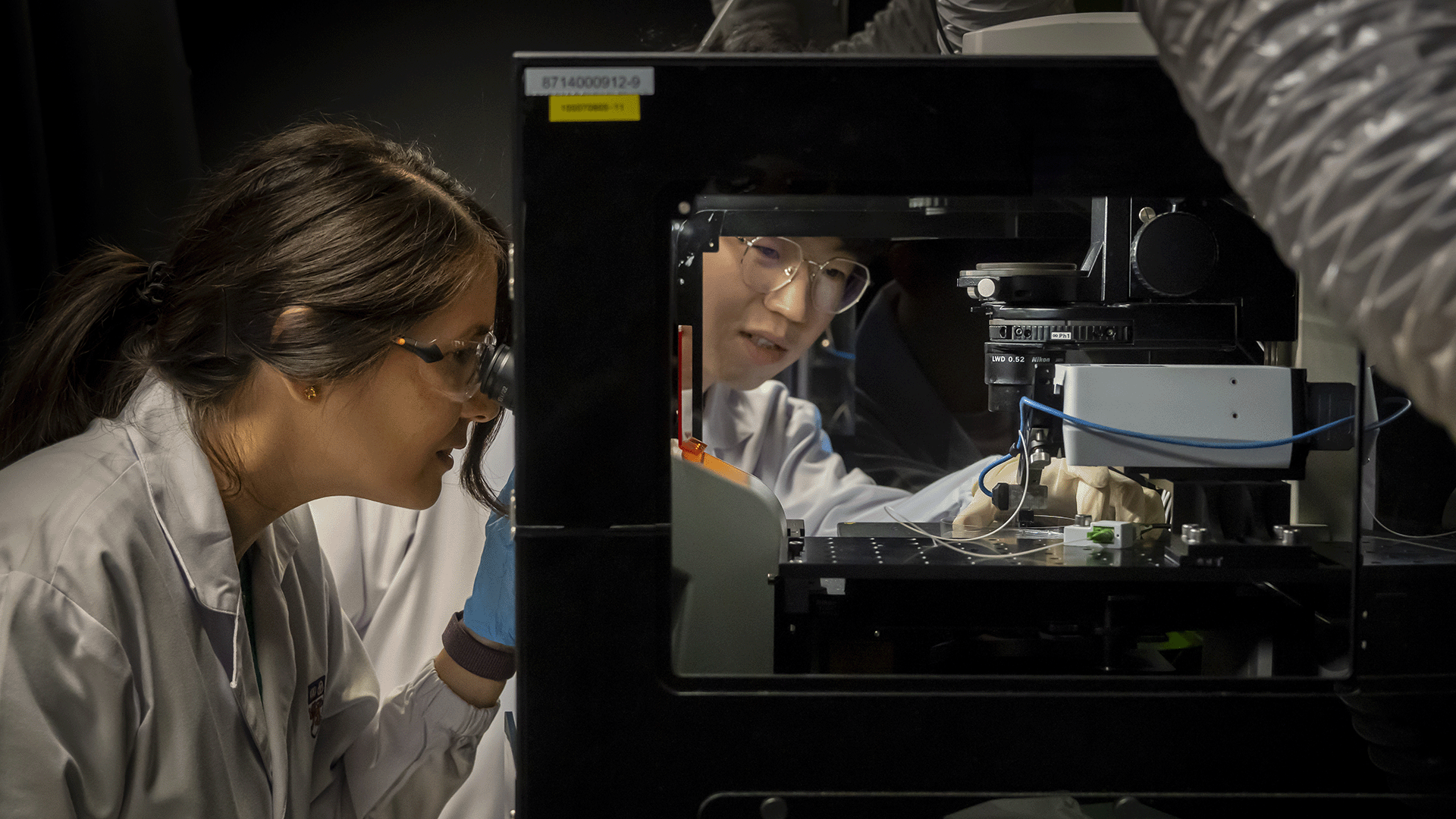 DSC02307 Asst Prof Jennifer Young (left) examines a DECIPHER sample as PhD student Avery Rui Sun (right) adjusts the nanoindentation equipment used to measure the stiffness of the DECIPHER scaffold.