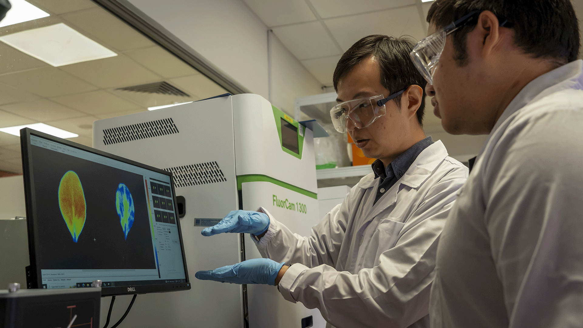 In lab tests, plants treated with the targeted particles were 20 times more resistant to infection.