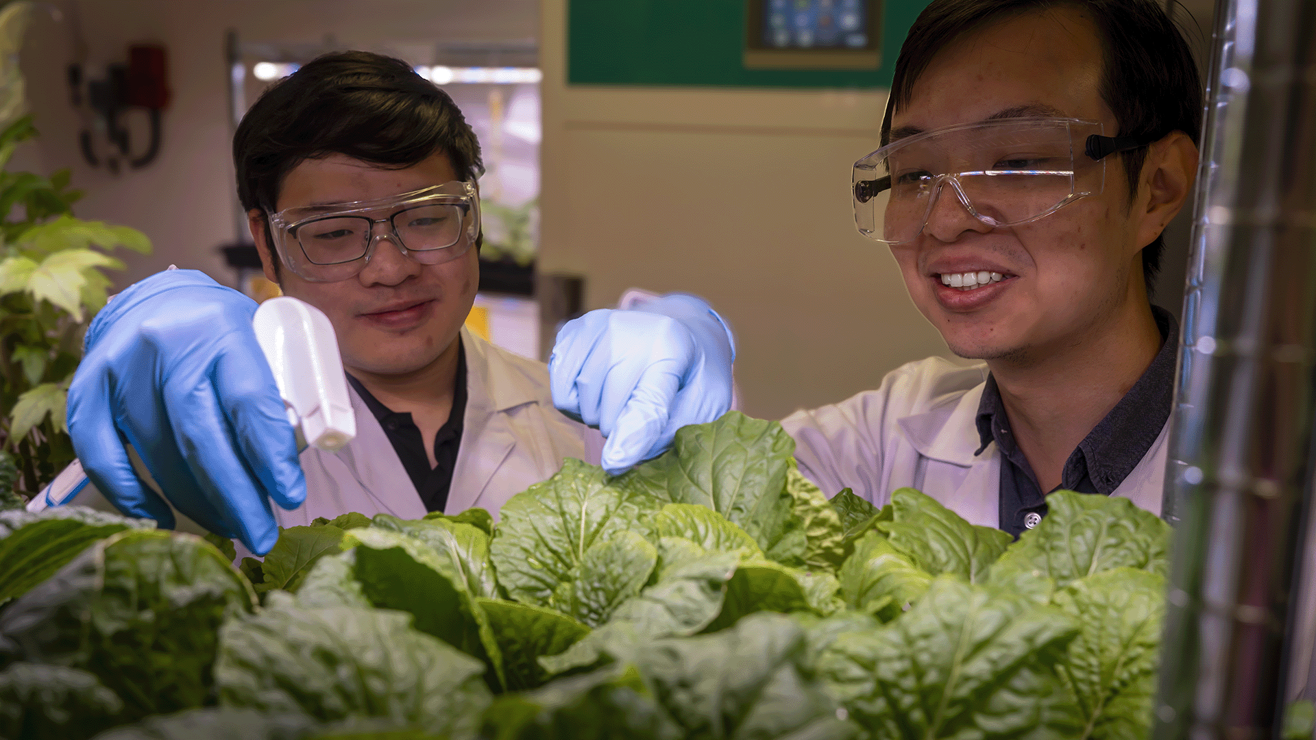 Asst Prof Tedrick Lew (right) with PhD candidate and lead author of the research study Suppanat Puangpathumanond (left).