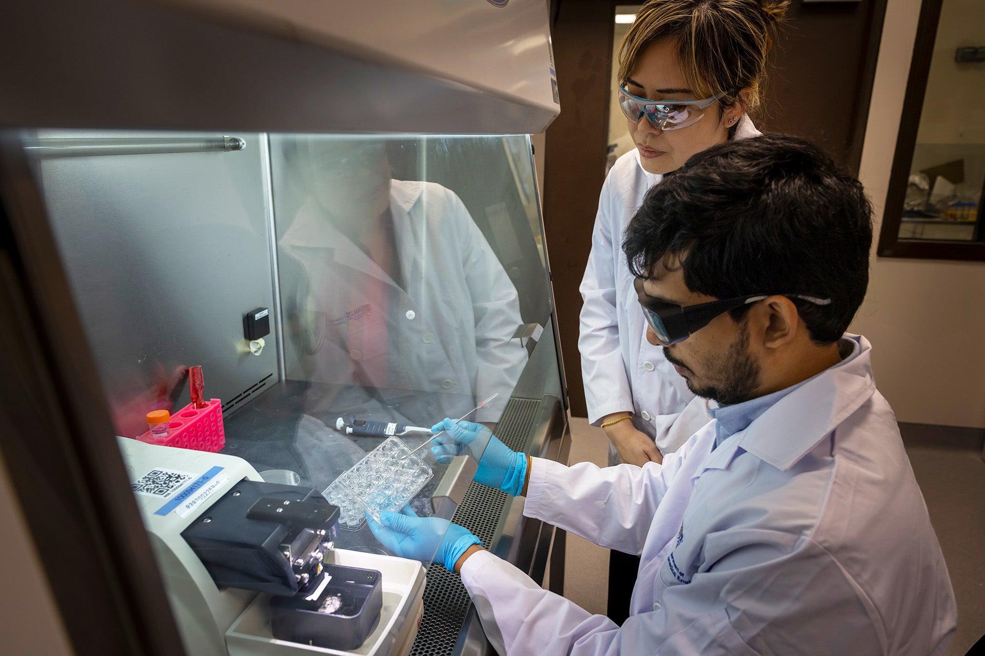 The developed bioengineering approach involves embedding thin slices of lymph node tissue in a soft gel that mimics the body’s natural environment.