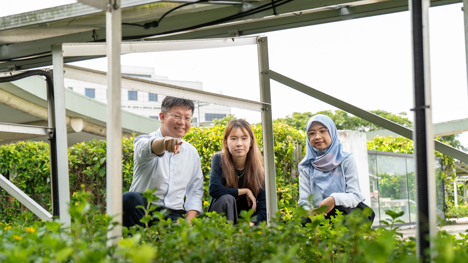 The study demonstrated the technical feasibility and added benefits of solar panel–green roof set-ups.