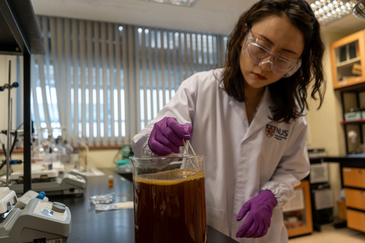 Dr Sun Xiaohu prepares kombucha culture in the lab.