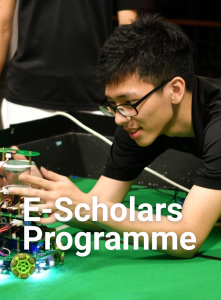 e-scholars-programme-card