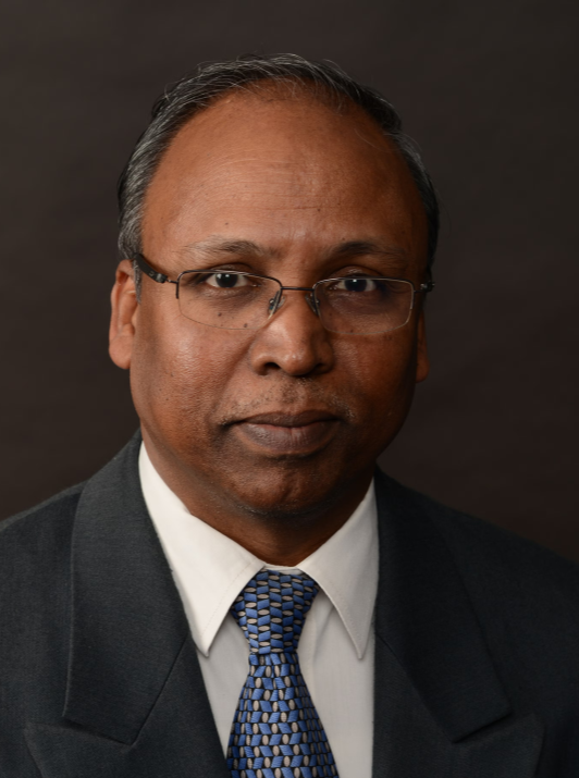 assoc-prof-palani-balaya