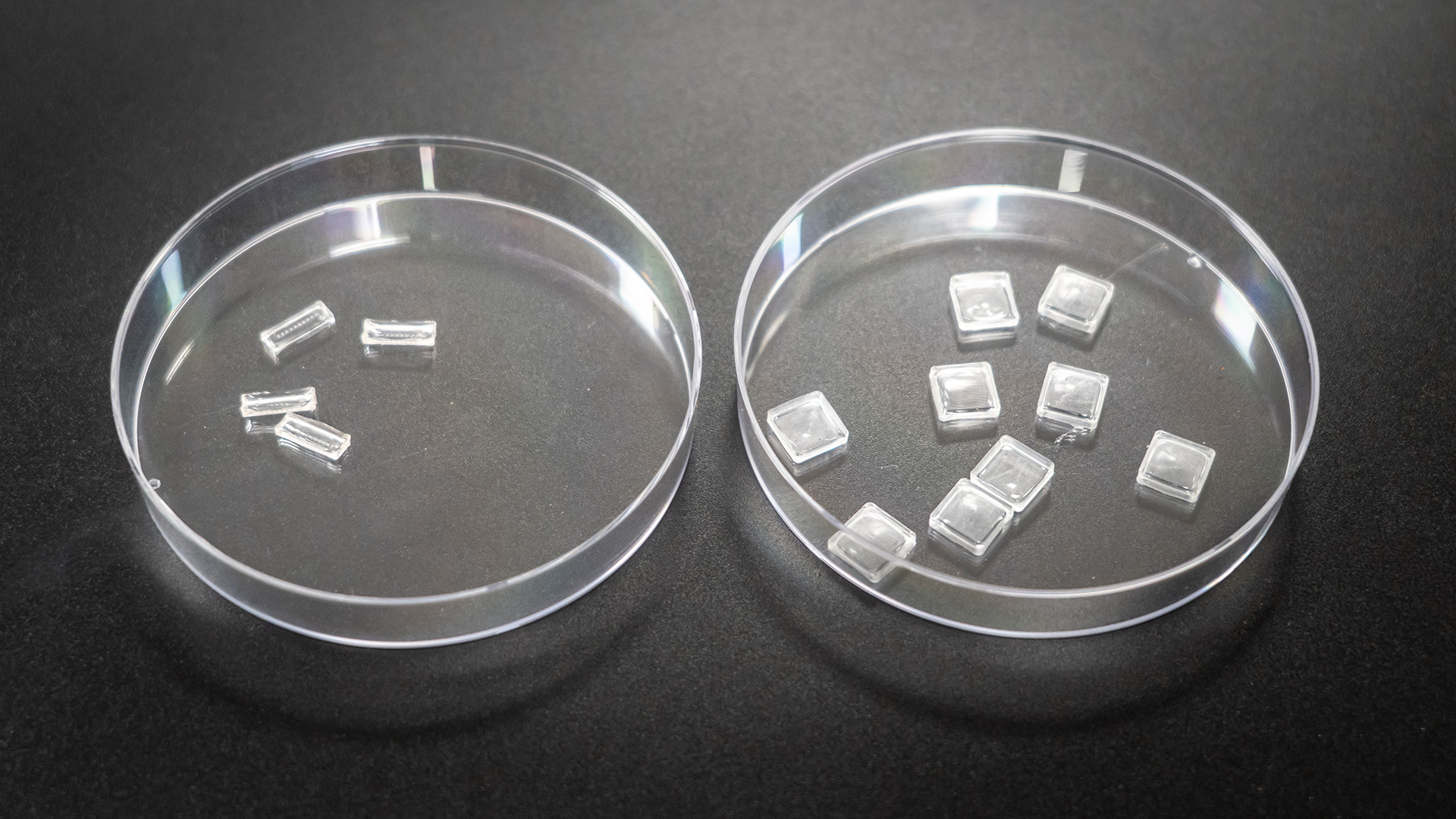 Samples of microneedle patches in lab dishes