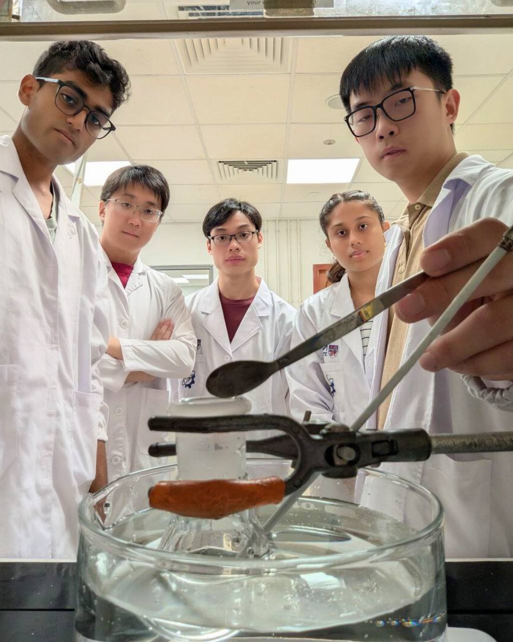 photo_6201717198590512400_y