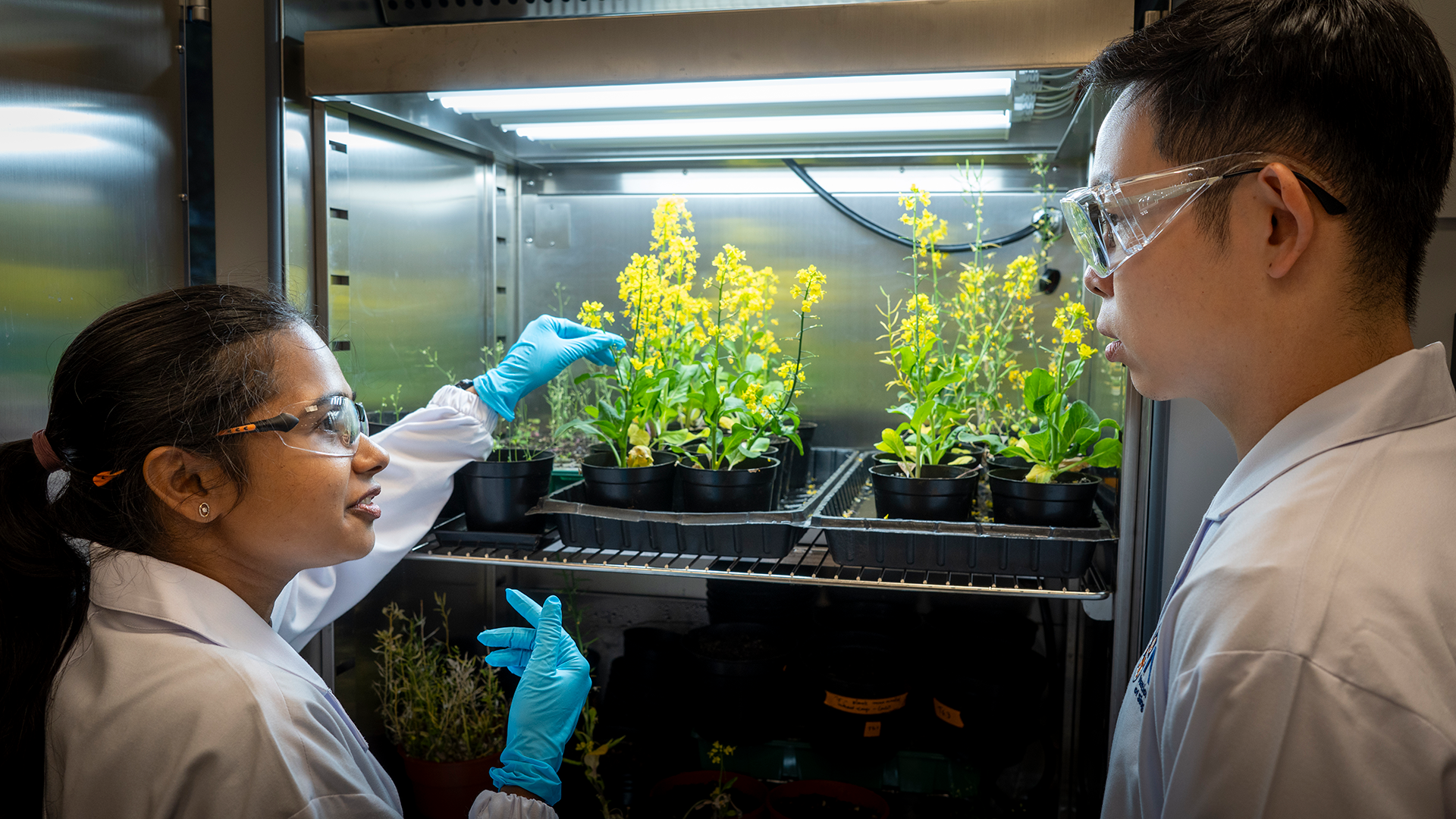 Researchers with samples of plants used in study