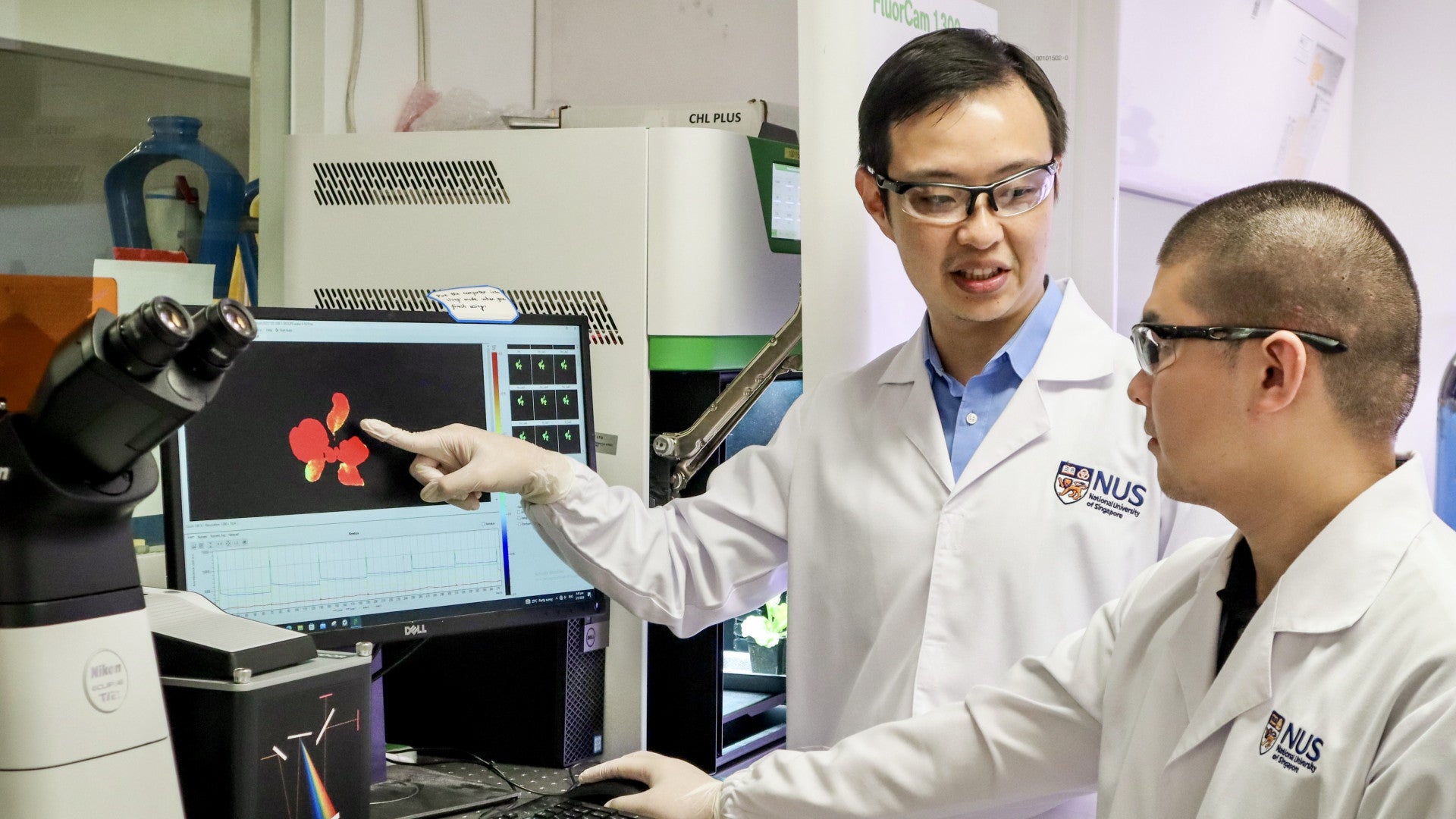 Asst Prof Lew’s latest work focuses on developing microneedles that can deliver a wide range of biomolecules and living microorganisms into both terrestrial and aquatic plants.