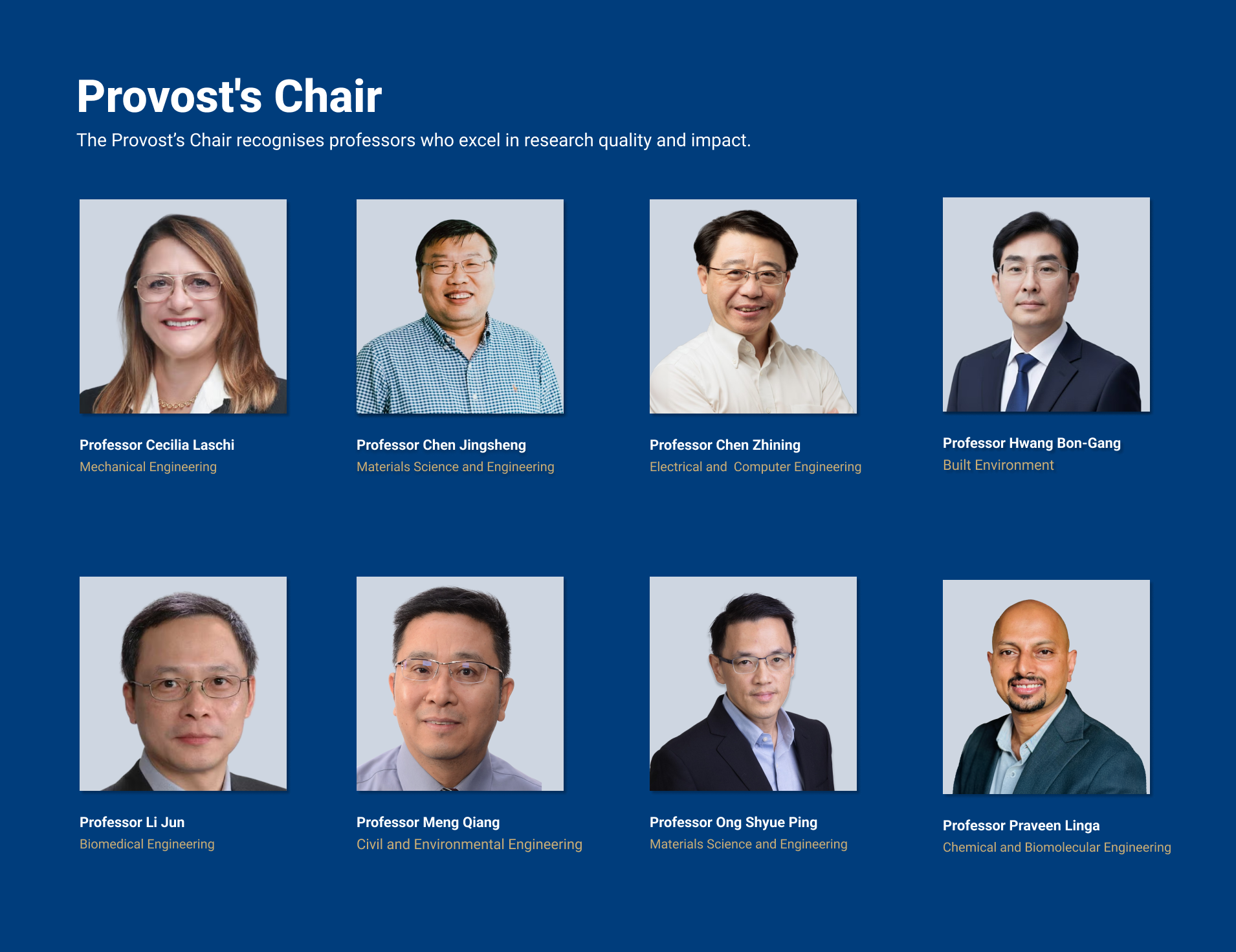 Awardees of Provost Chair: Cecilia Laschi Chen Jingsheng Chen Zhining Hwang Bon-Gang Li Jun Meng Qiang Ong Shyue Ping Praveen Linga