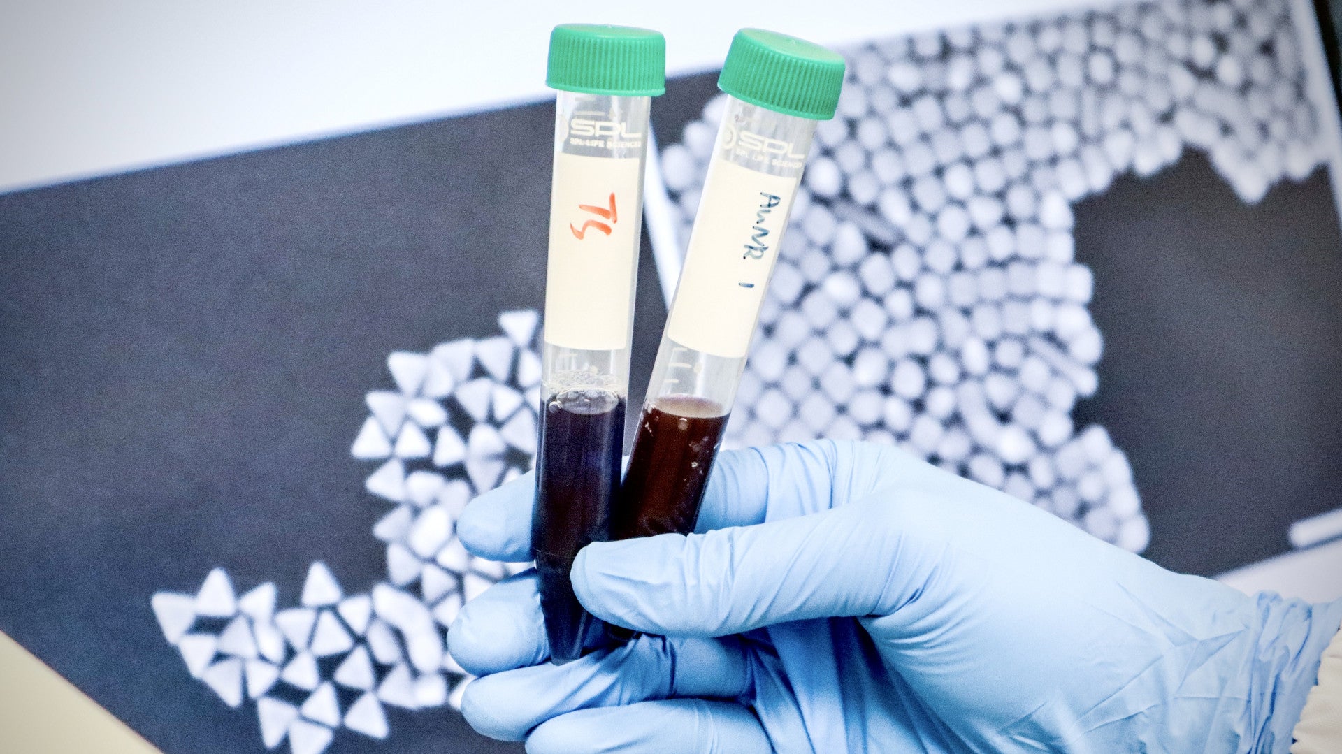 Lab samples containing nanoparticles.