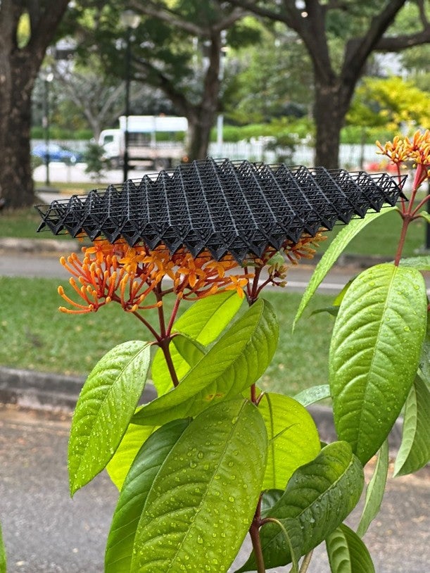 Associate Professor Yan Wentao and his team developed ultralight 3D-printed lattices capable of absorbing broadband microwaves across a wide frequency range.