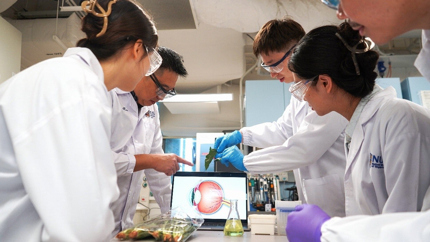 The NUS CDE team developed a patented method that gently extracts the thylakoid grana from the cells of the spinach plant and used it as the active ingredient in their eye drops. In preclinical studies, the novel eye drops created by the team outperformed Restasis®, an existing treatment for dry eye disease. 