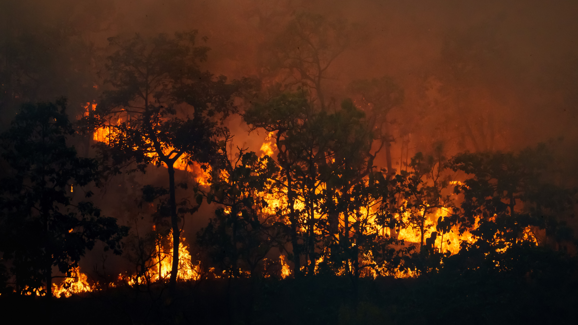 As hotter, drier conditions raise the risk of regional fires, Singapore is preparing for the possibility of future haze episodes.