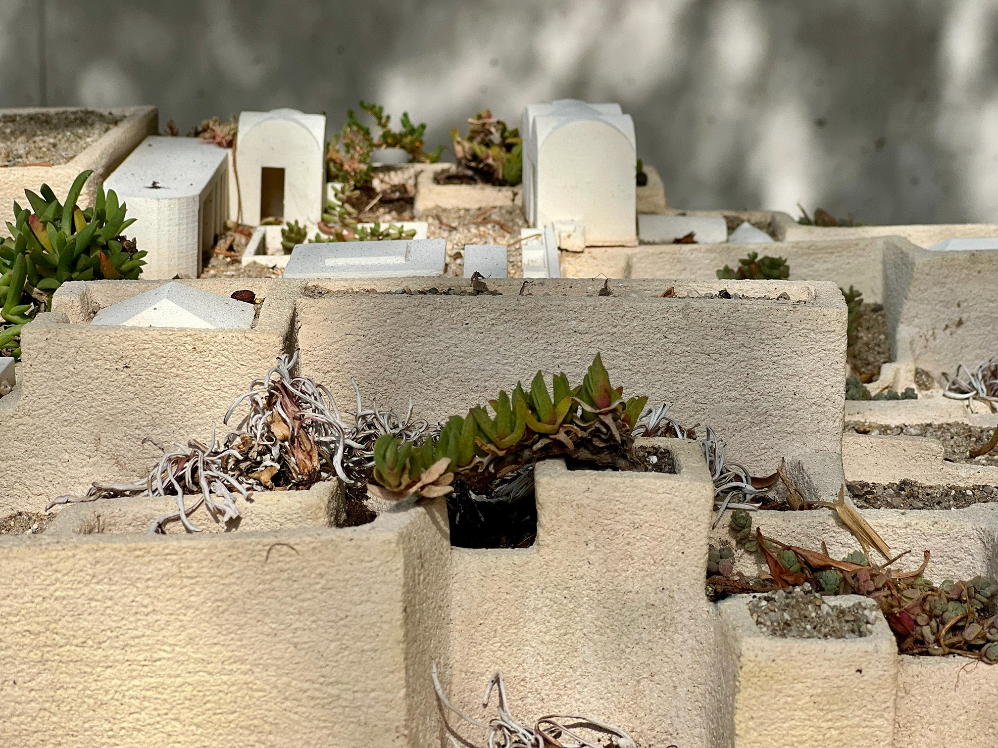 Medinascapes:  Associate Professor Gareth Doherty and Critical Landscapes Design Lab