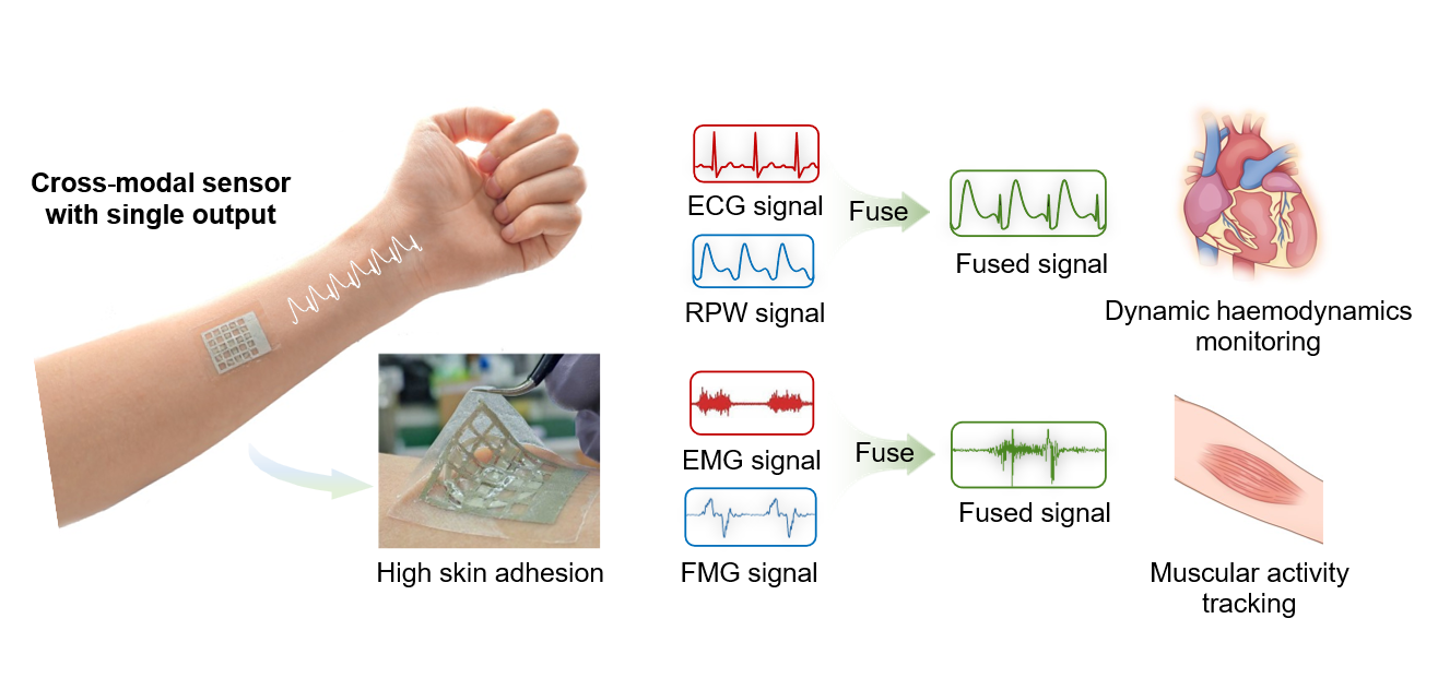 nus-cde-cross-modal-epidermal-sensor-explanation