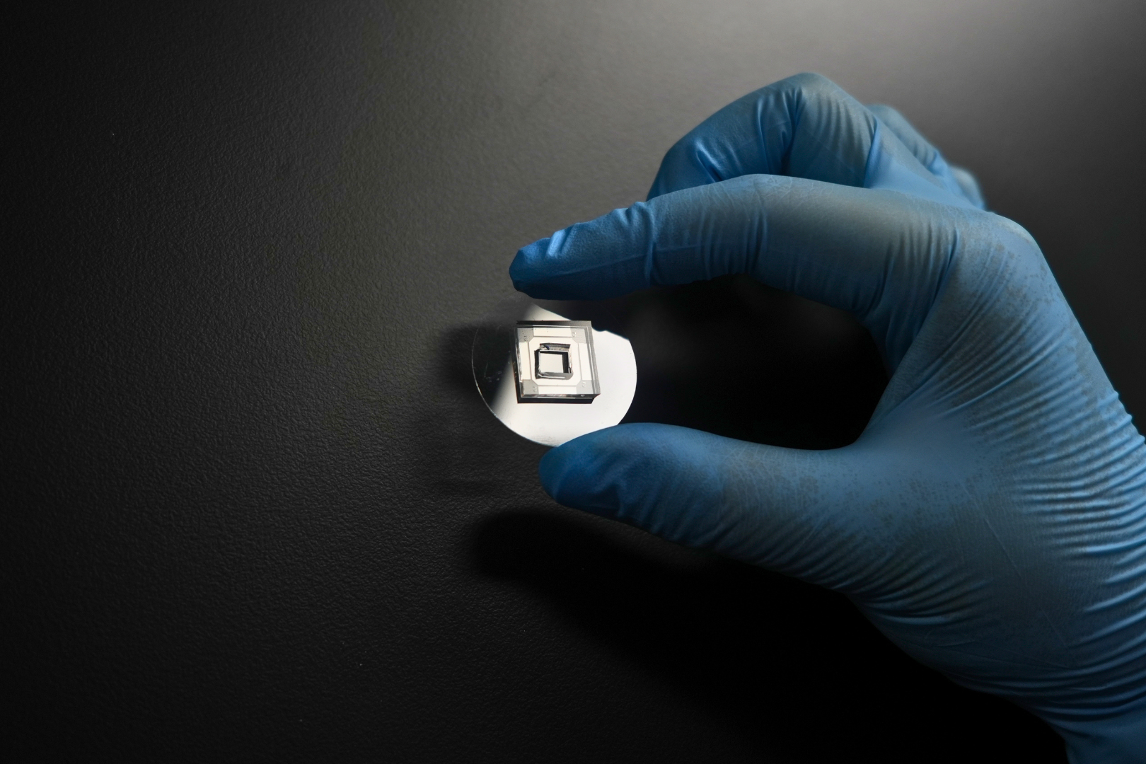 A microchannel device used to study how mechanically primed cells migrate through confined spaces.