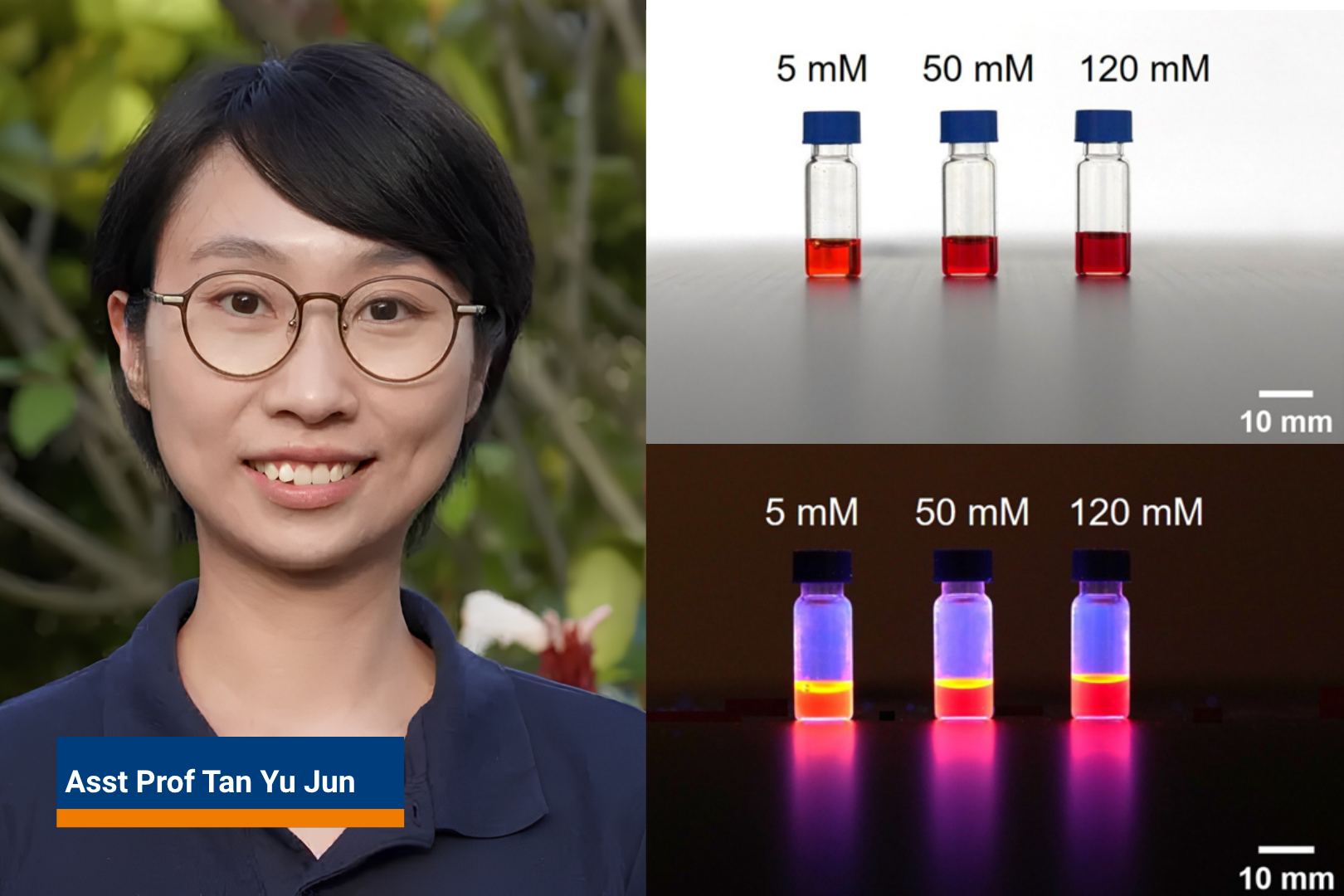Asst Prof Tan Yu Jun, and her team's research on a new electrolyte paired with a redesigned electrode architecture triples the brightness of electrochemiluminescent devices. UBECL solutions are shown under ambient light (upper figure) and under UV irradiation (λ = 365 nm, lower figure).