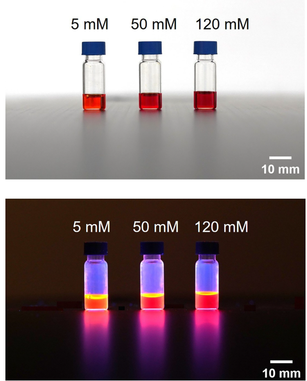 Photographs of UBECL solutions under ambient light (upper figure) and irradiation with UV-light (λ = 365 nm, lower figure).