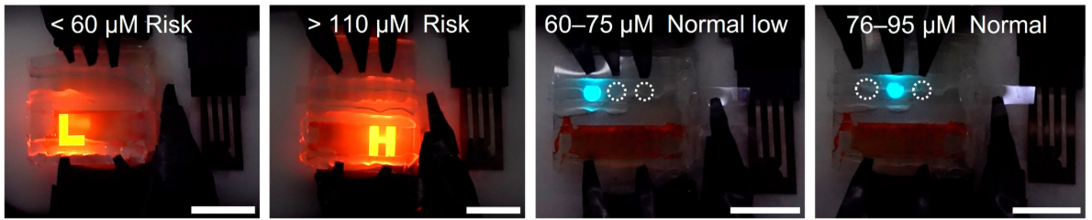 Demonstration of a smart multicolour ECL panel to indicate glucose concentration in sweat.