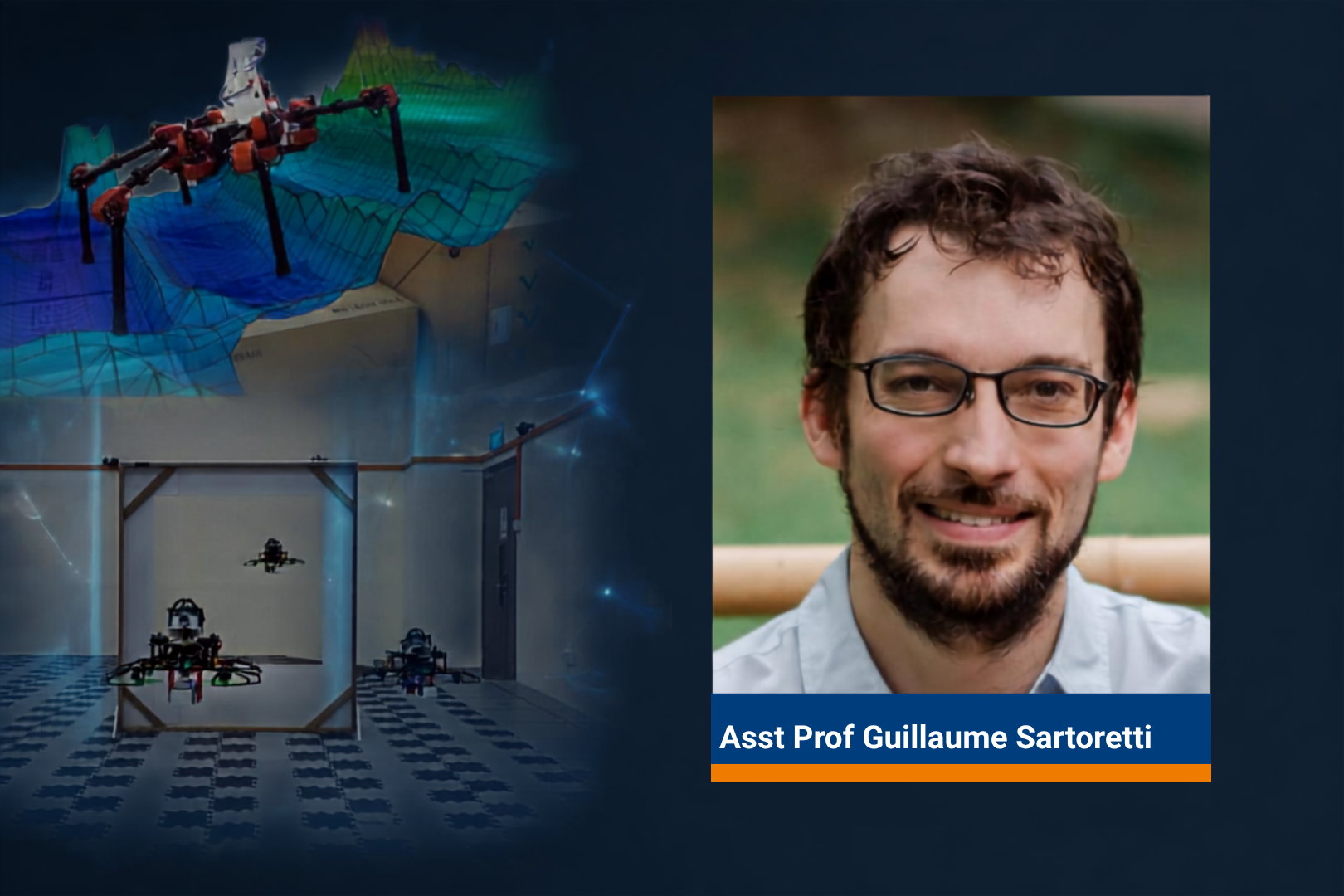 ST Engineering Distinguished Professorship