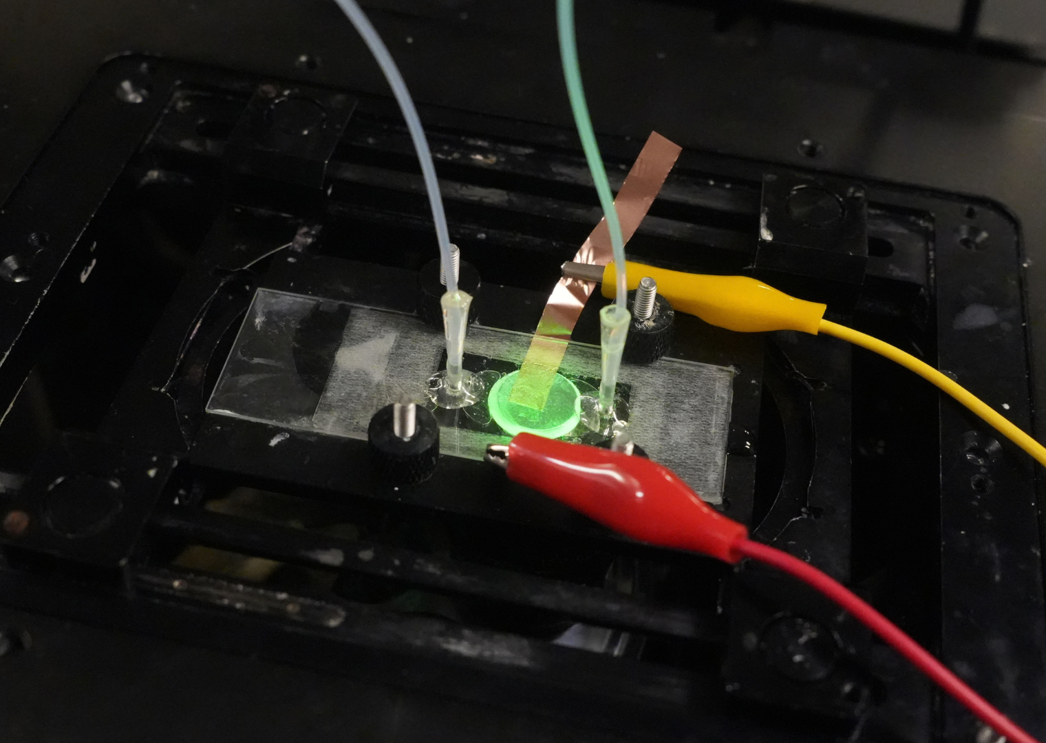 The DELINE imaging setup in operation, capturing individual reaction events as water molecules split on catalyst surfaces