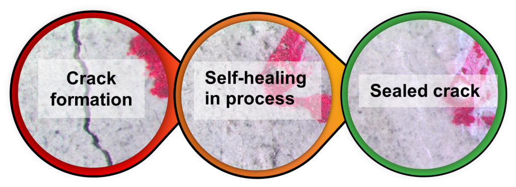 Development Of Sustainable Self Healing Concrete Image1