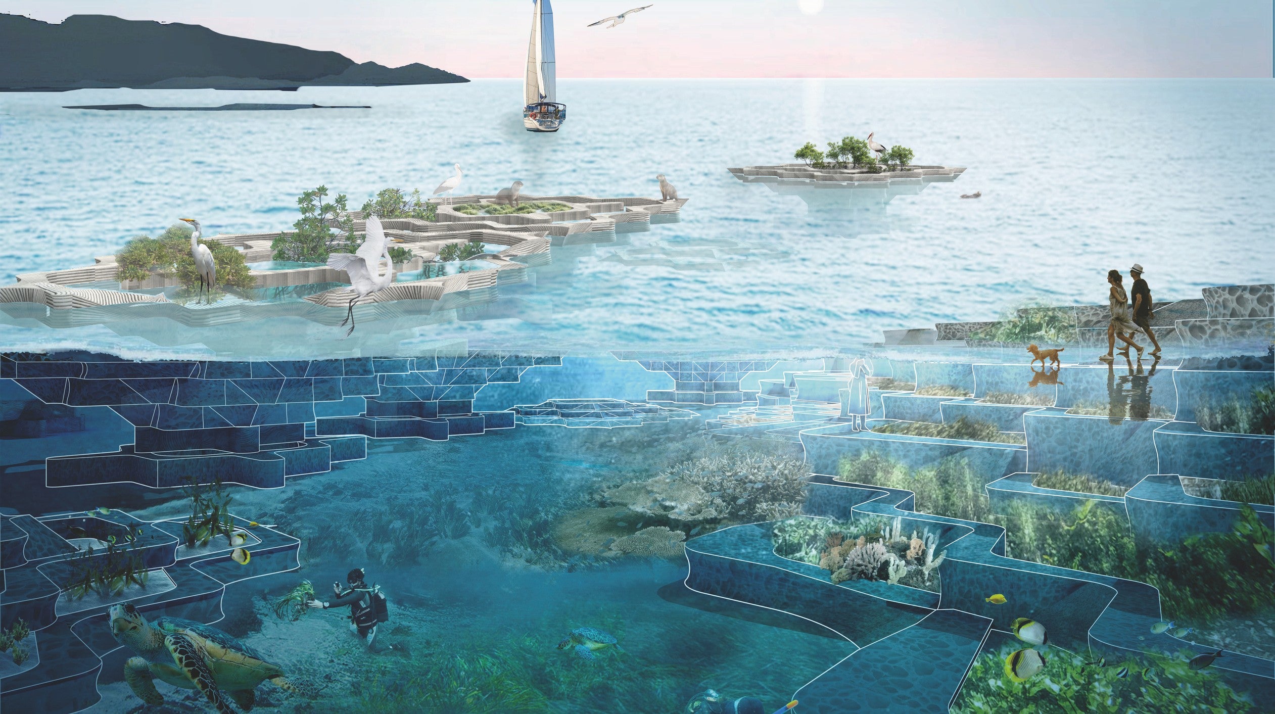 From Compressed Edges to Living Interfaces
