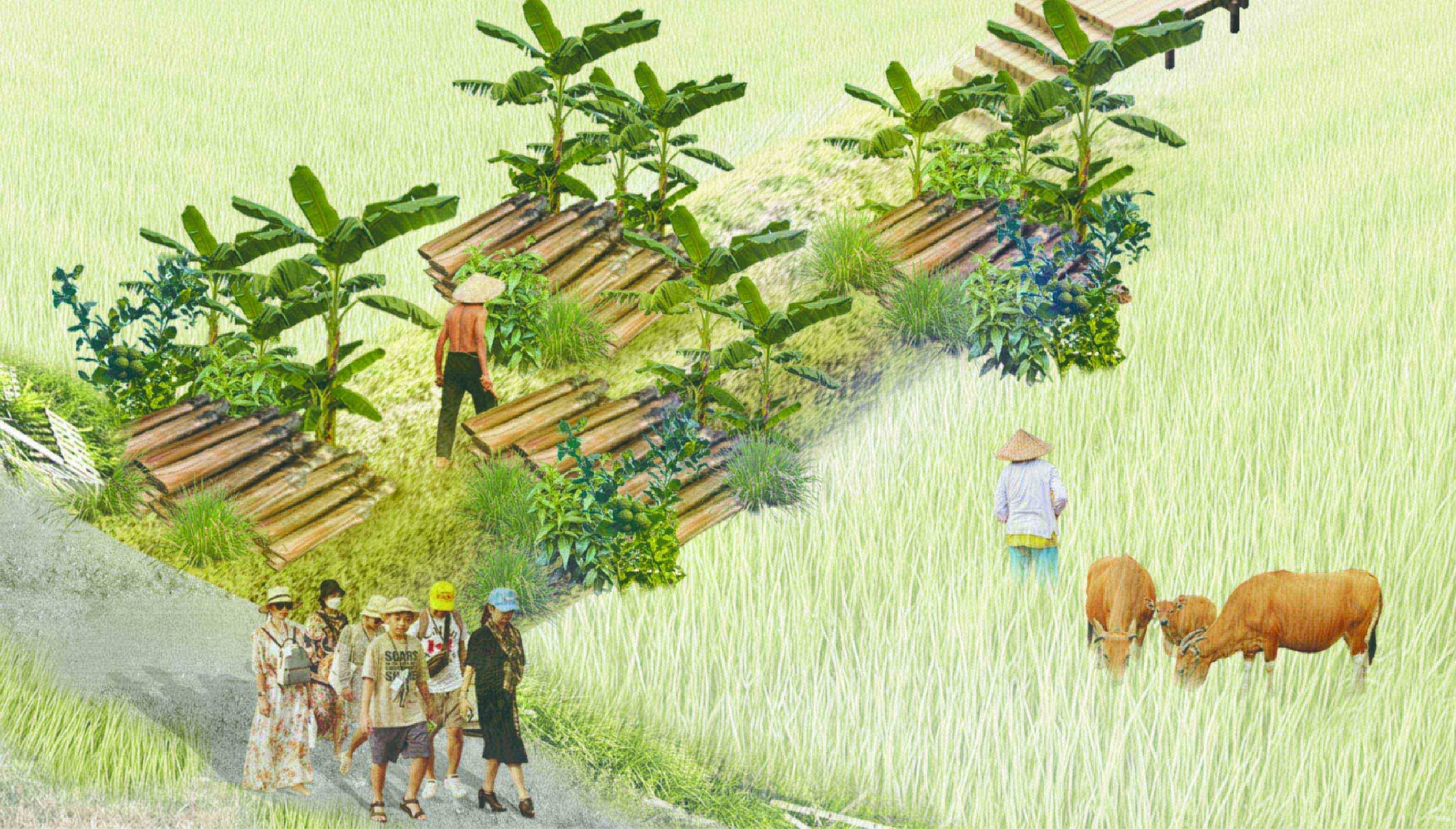Cultivating Commons: A Plant-Led, Government-Supported Large Park