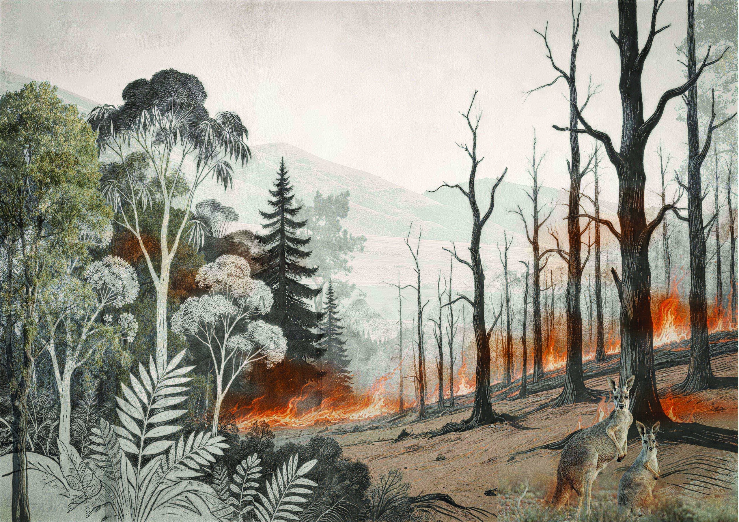 At the Edge of Fire: Eucalyptus-Based Strategies for Coexisting with Fire