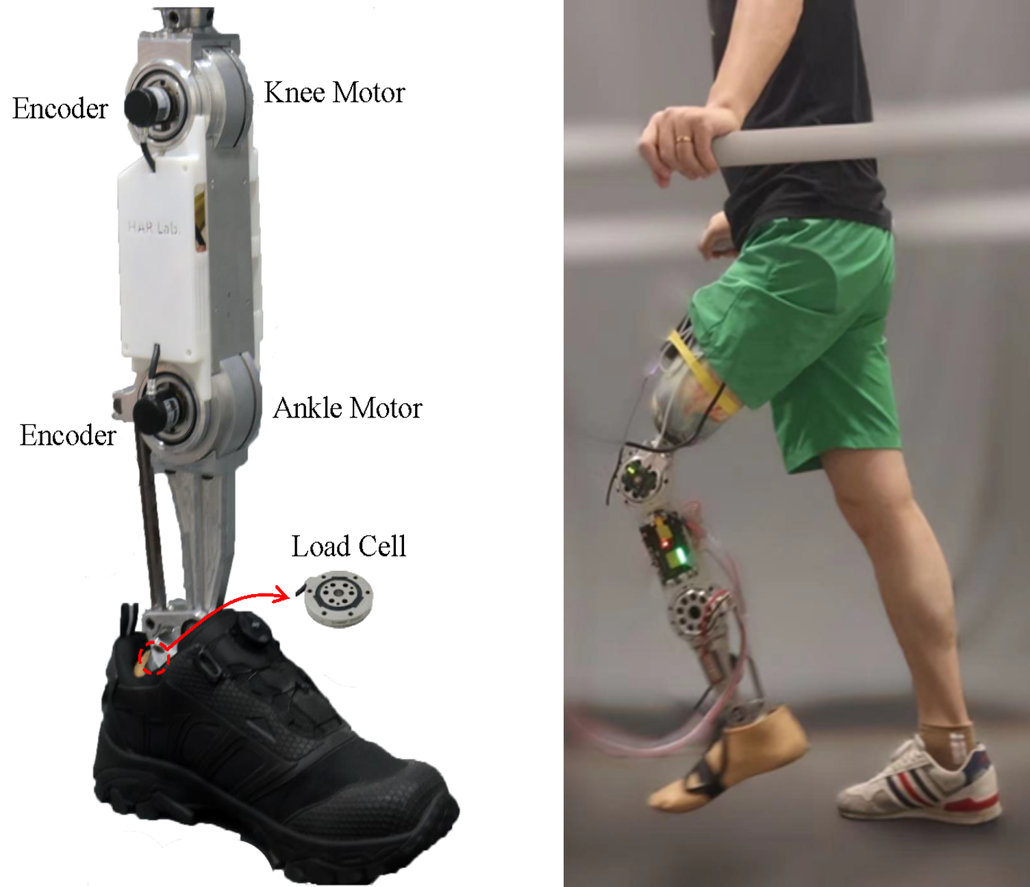 knee-ankle-prostheses