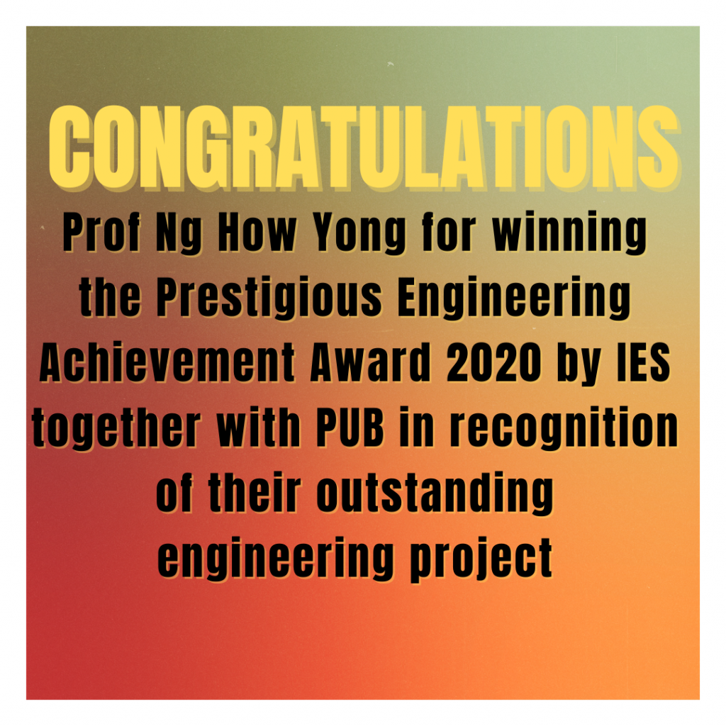 Prof Ng Hy Ies Award