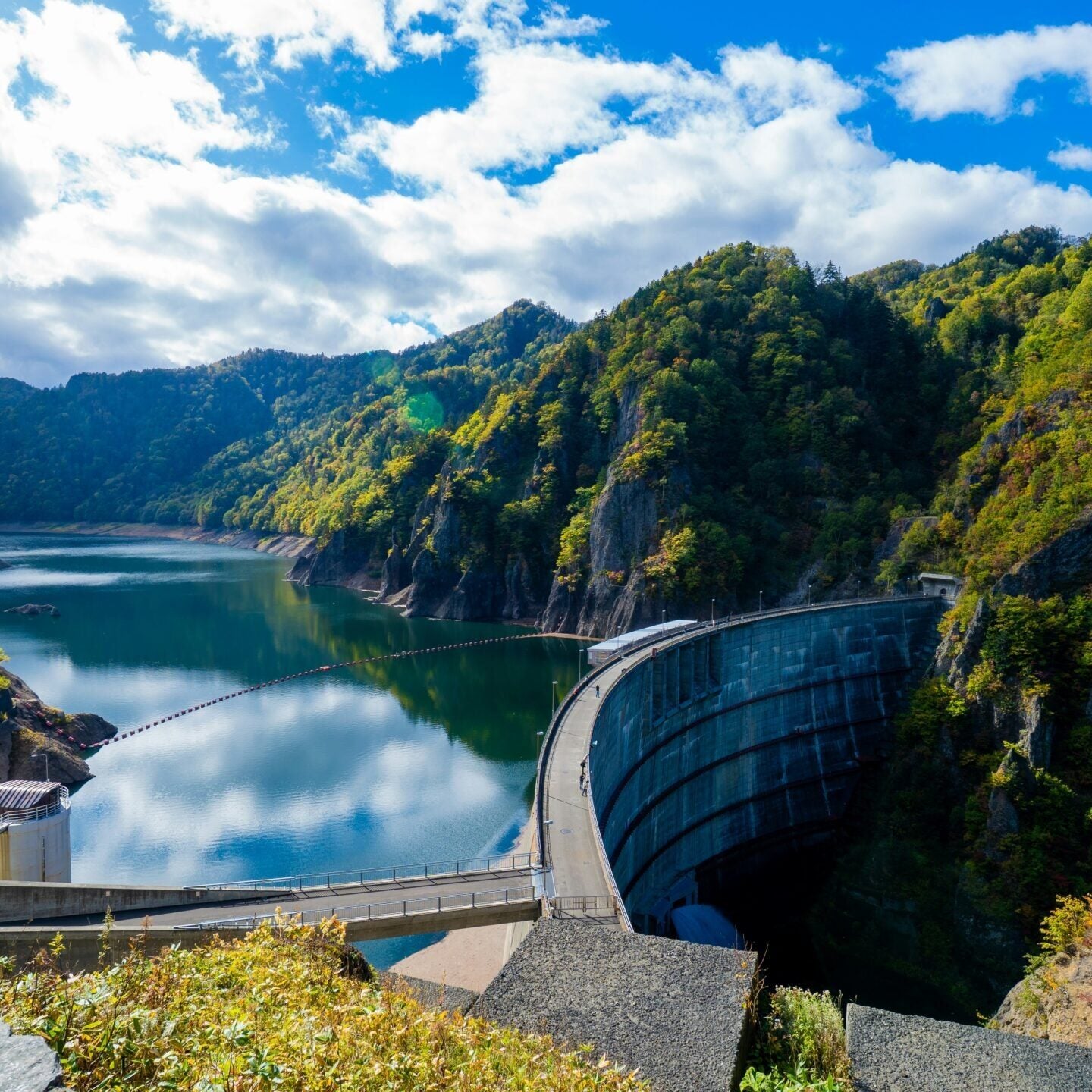 kaori-kubota-xsSVRxByxlw-unsplash