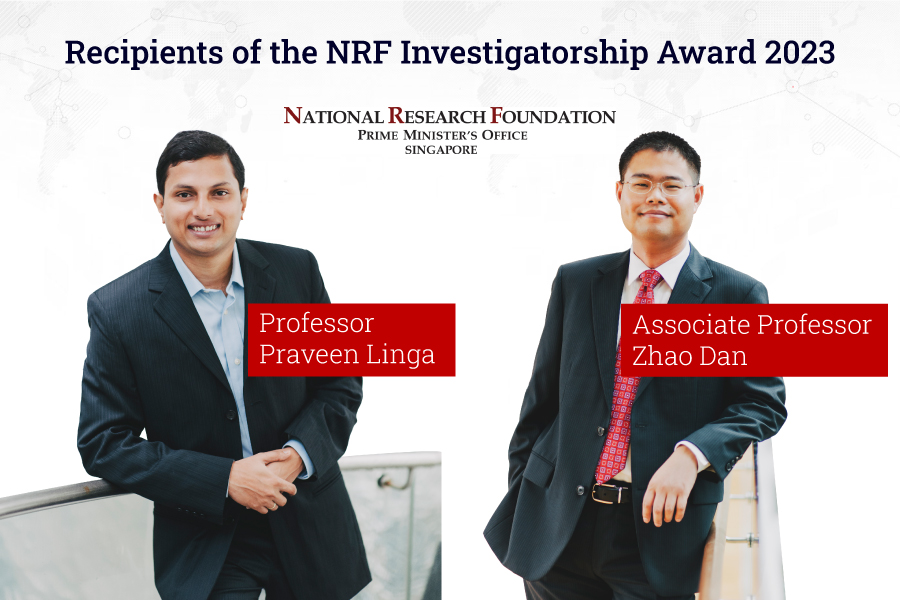 Nrf Investigatorship Award 2023 Regular