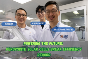 Perovskite solar cells invented by NUS scientists set new world record ...