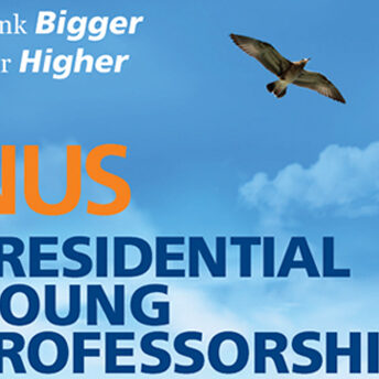 Presidential Young Professorship