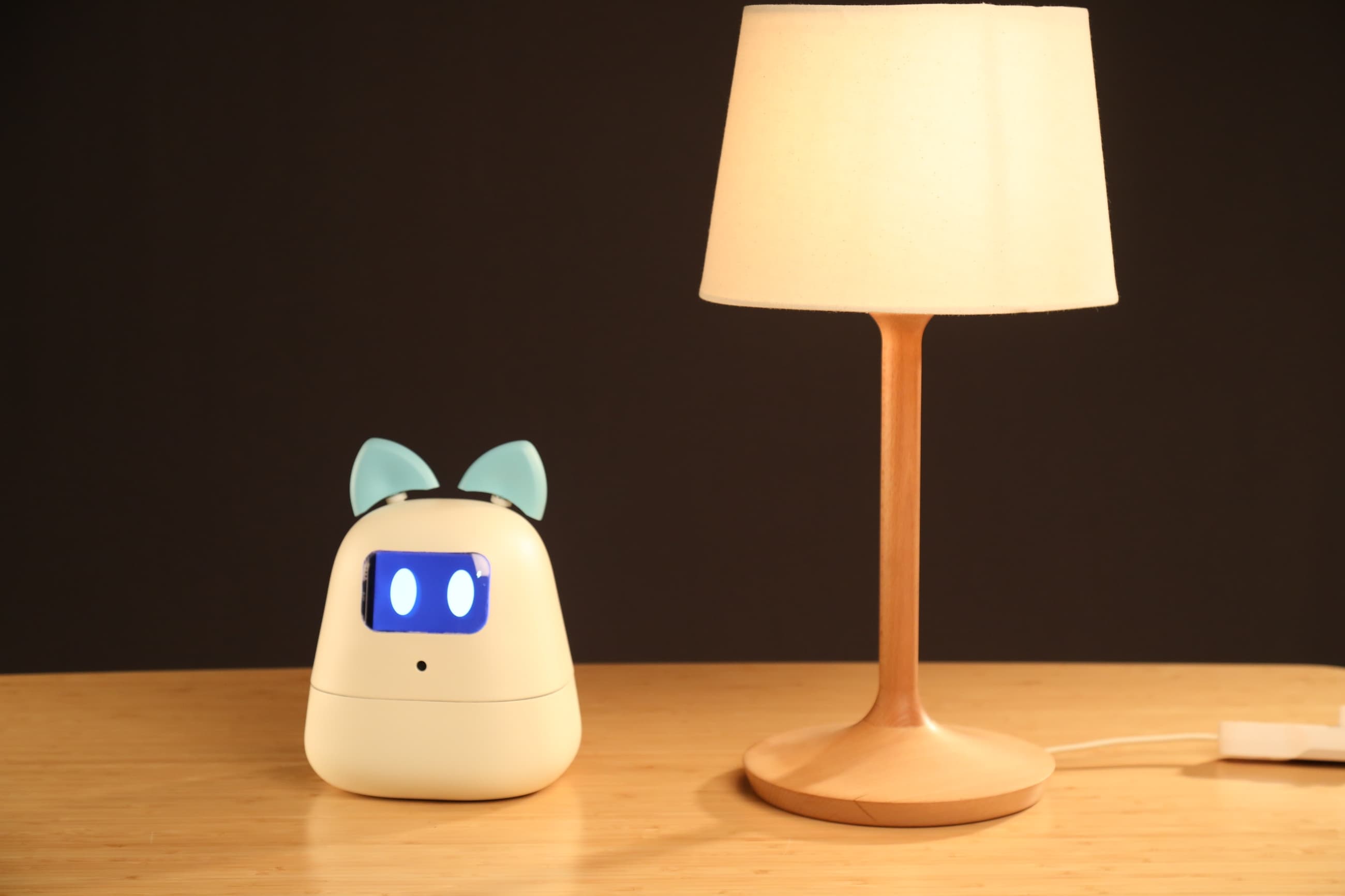 NUS DID SHOW 2019 Qiuxia