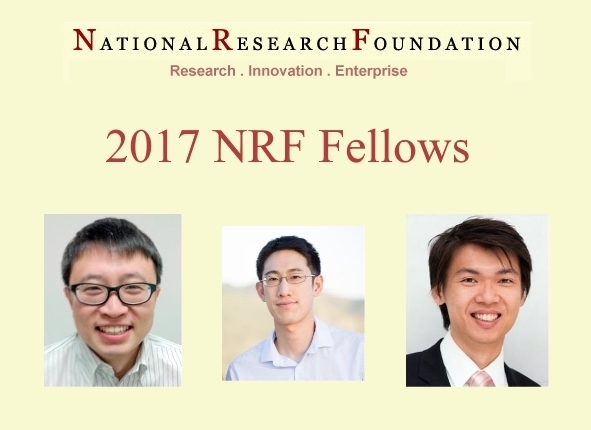 Nrf Fellows