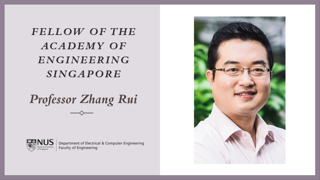 Prof Zhang Rui Faes