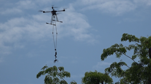 Drone-based solution for leaf sampling in primary tropical rainforests