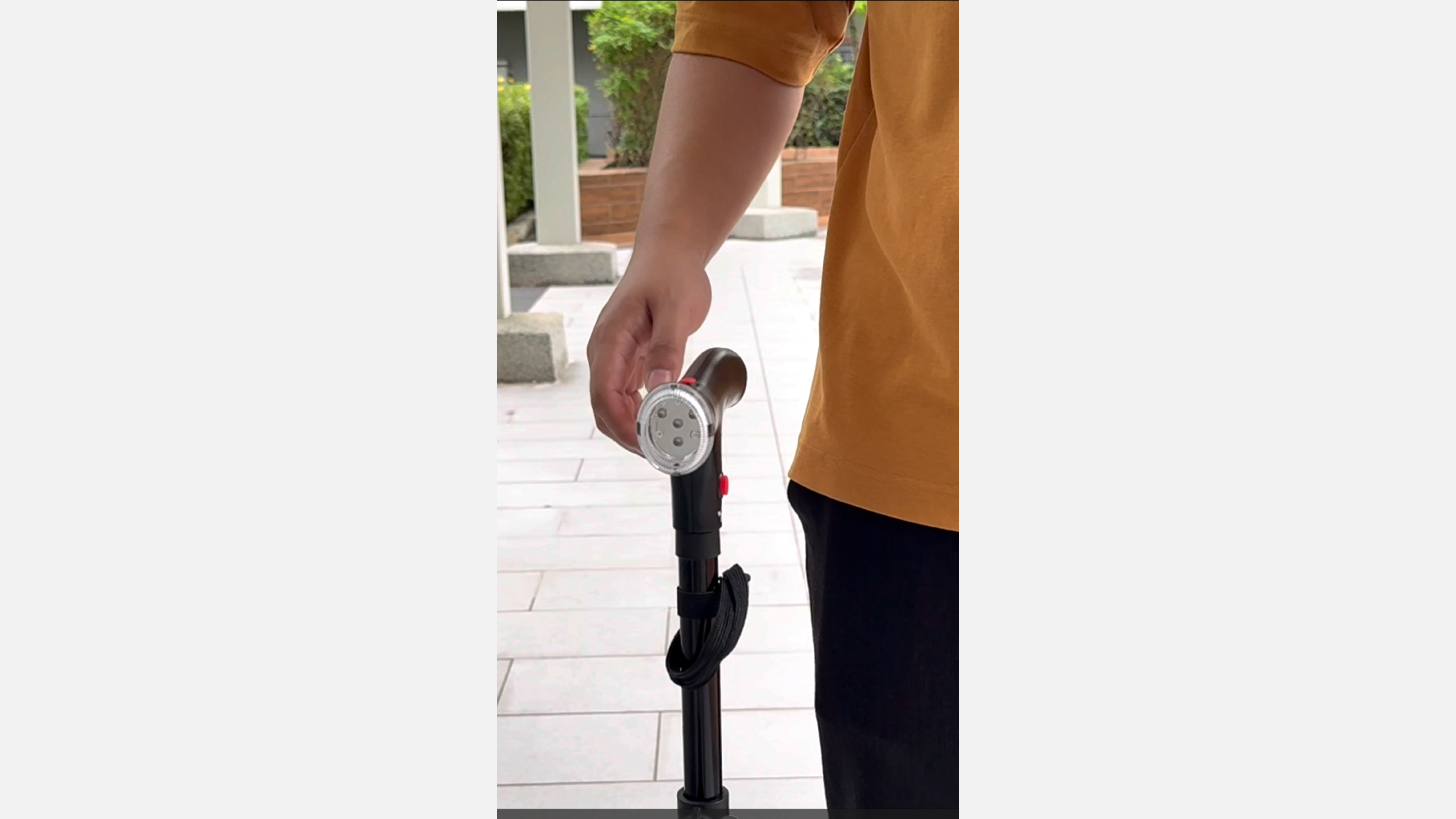 CDE5301-ClearCane CDE5301-ClearCane